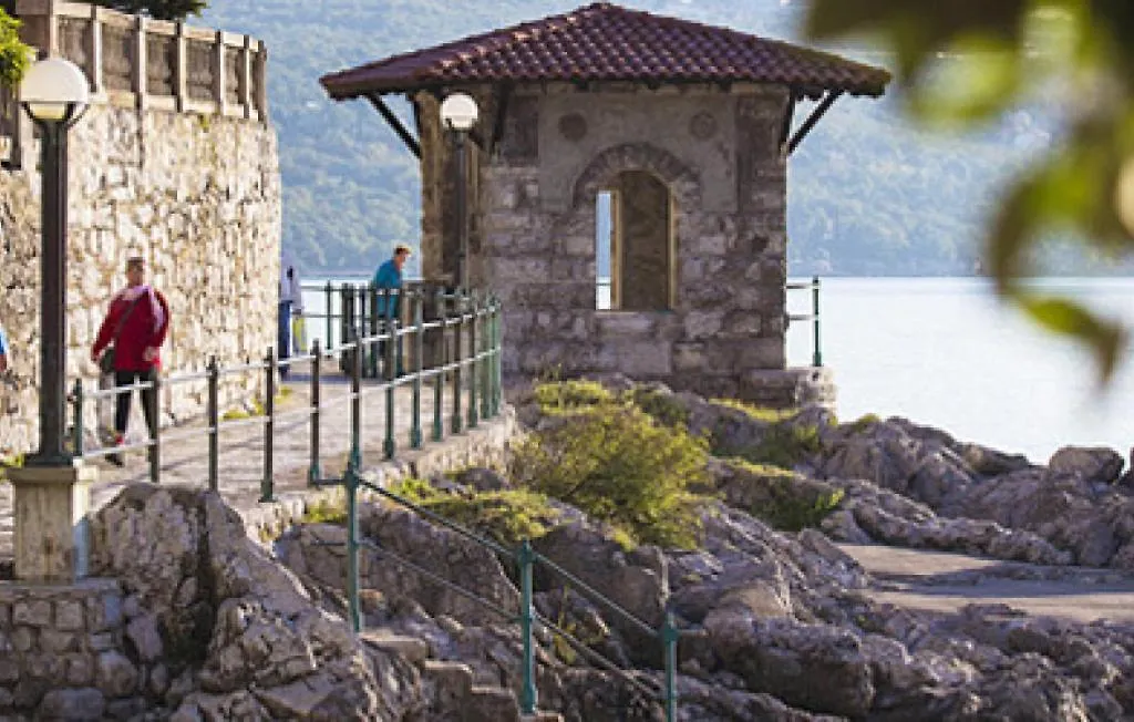 Beautiful Casa Dea With Pool In Opatija Villa Icici